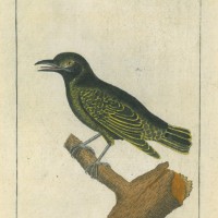 Picture 1