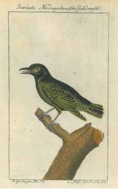 Picture 1