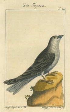 Picture 1