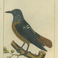 Picture 1