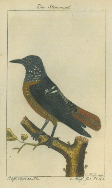 Picture 1