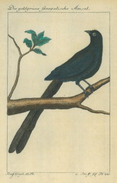 Picture 1