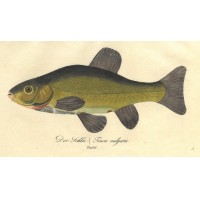 Picture 1