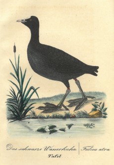 Picture 1
