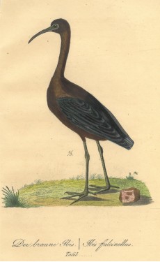 Picture 1
