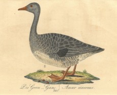 Picture 1