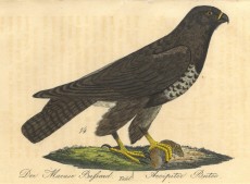 Picture 1