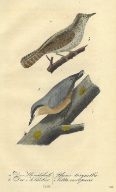 Picture 1