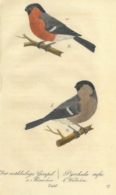 Picture 1