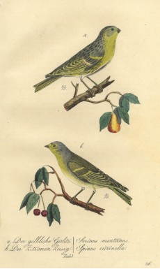 Picture 1
