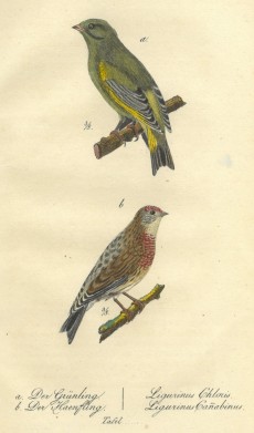 Picture 1