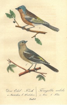 Picture 1