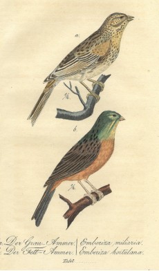 Picture 1