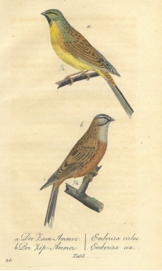 Picture 1
