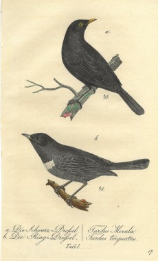 Picture 1