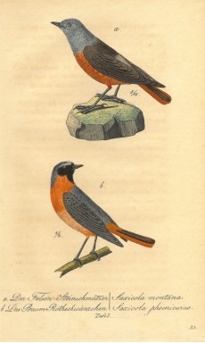 Picture 1