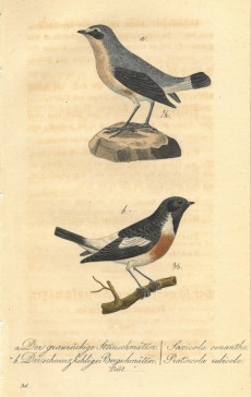 Picture 1