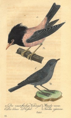 Picture 1
