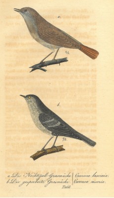 Picture 1