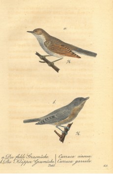 Picture 1