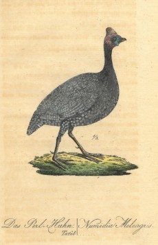 Picture 1