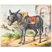 Picture 1