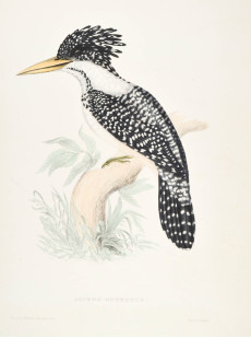 Picture 1