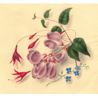 Picture 1