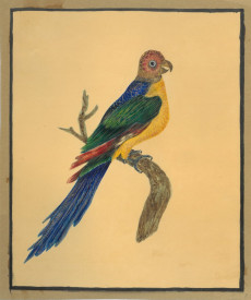 Picture 1