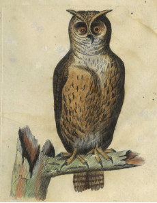 Picture 1