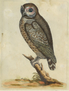 Picture 1