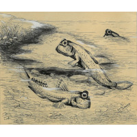 Picture 1