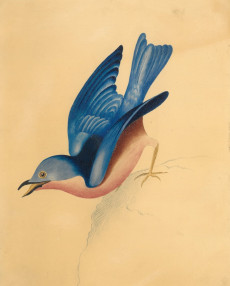 Picture 1
